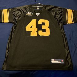 Troy Polamalu Throwback Jersey