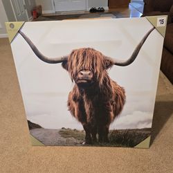 Highland Cow Wall Art