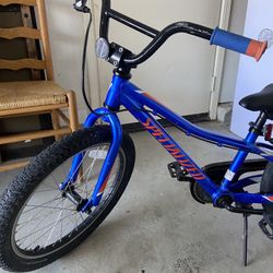 20 Inch Fixer Bike