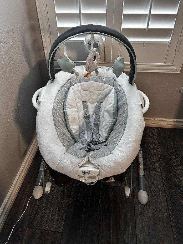 Baby Swing And Bouncer. 60 Dlls