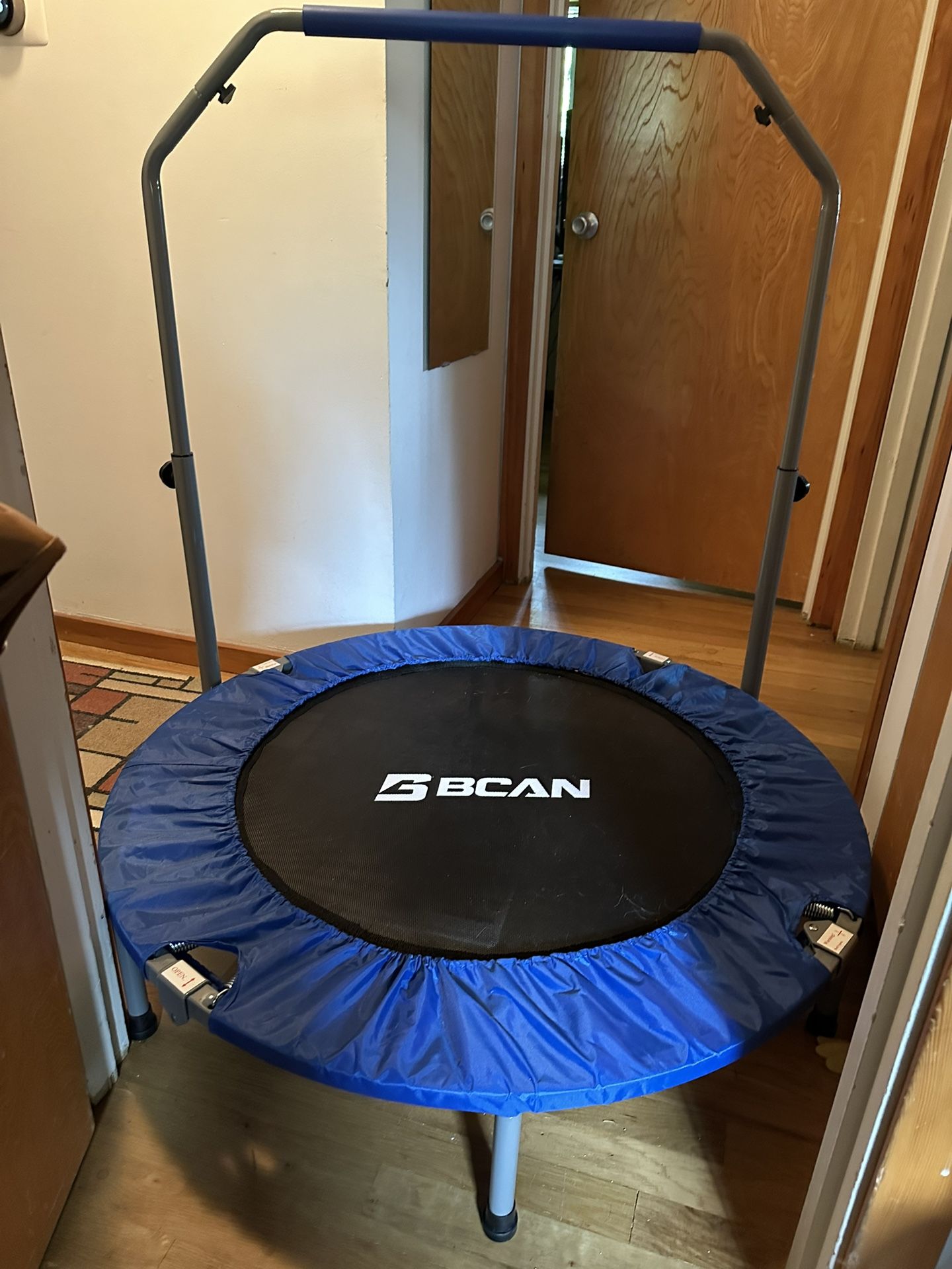 Exercise Trampoline