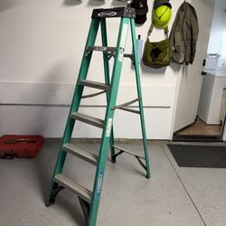 Werner 6 Foot Ladder