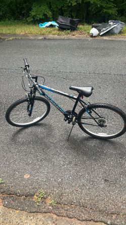 Roadmaster Bicycle