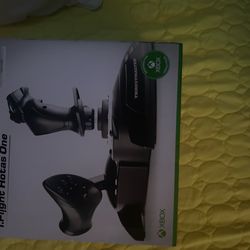 Thrustmaster flight stick and throttle