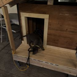 Custom Made Dog House 