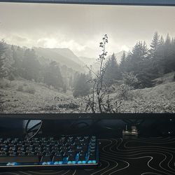 Gaming monitor