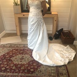 Wedding Dress And ten Foot Viel