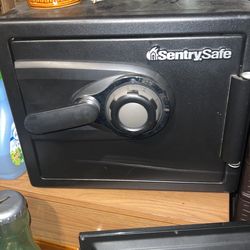 Safe 