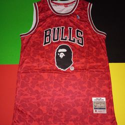 Chicago Bulls A Bathing Ape Mitchell & Ness Jersey XL Red/Black NWT