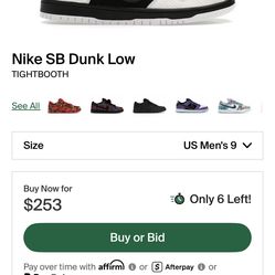 Nike SB Dunk Low TIGHTBOOTH Size 9M