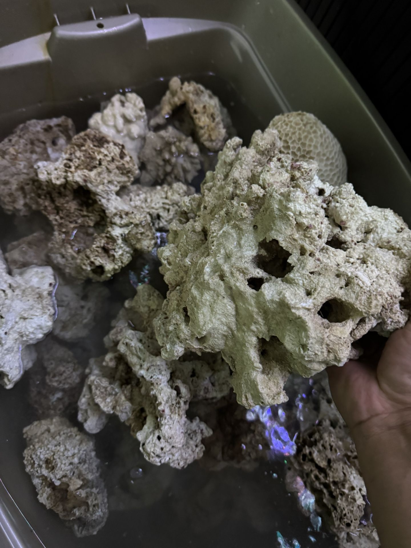 Fish Tank Aquarium Reef Rock Salt Water