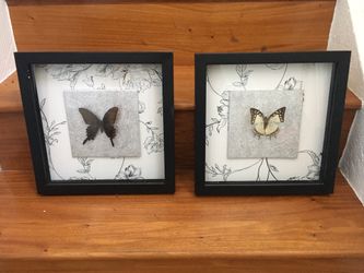 Butterfly wall decor art