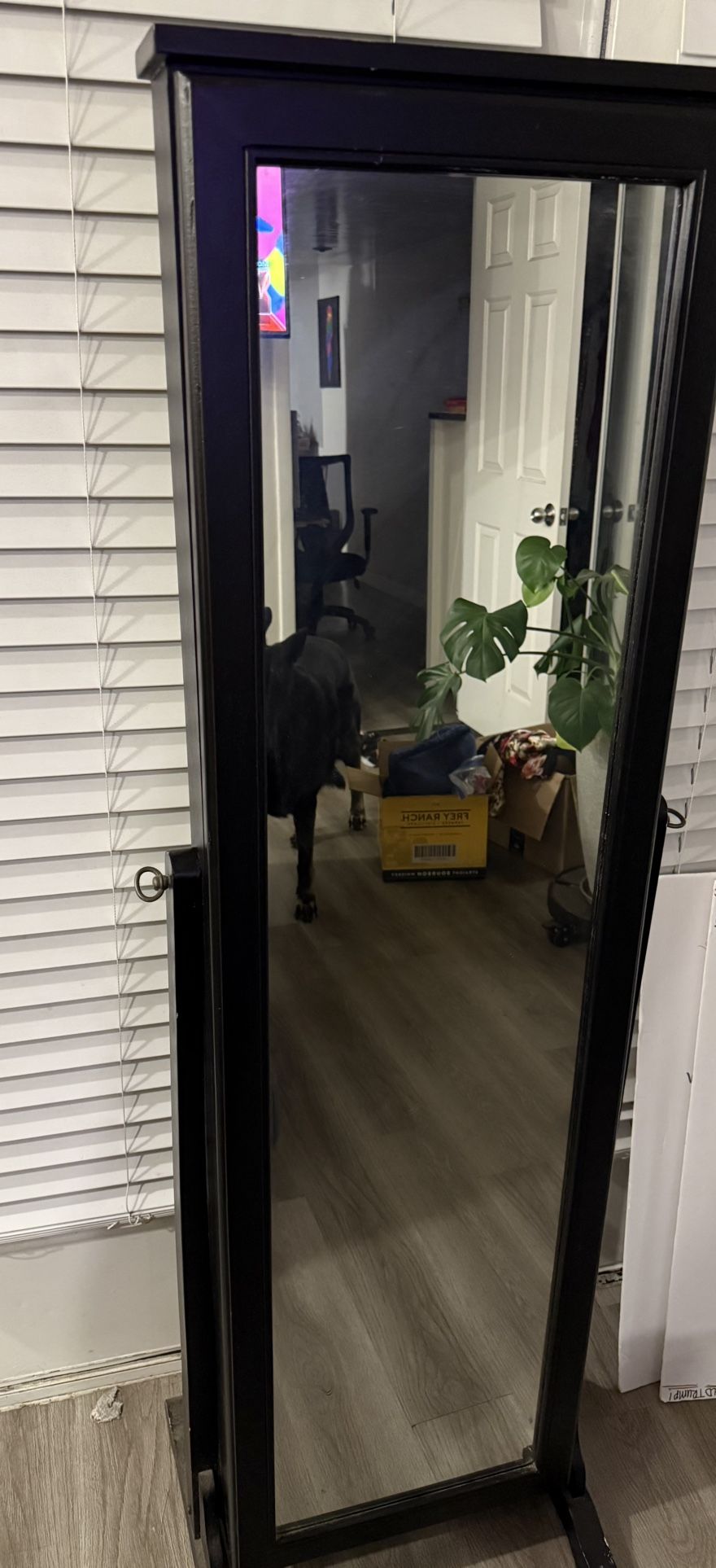 Mirrored Jewelry Cabinet