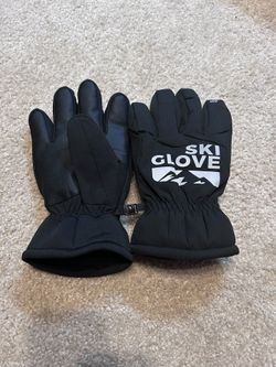Ski Gloves