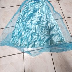 Frozen Costume ( Elsa) 