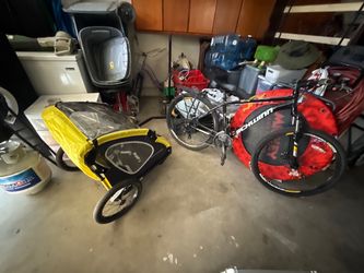 Schwann Bike & Trailer Combo