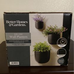 Wall plants vase