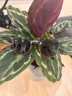 Ray-Ban Clubmaster Sunglasses – Spotted Grey/Green, 51mm