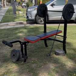 Weight Bench & Weights