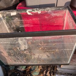 Fish Tank