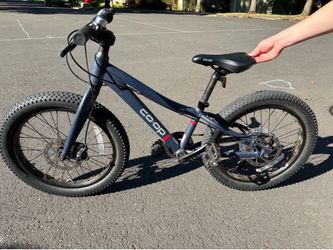 Kids REI bike