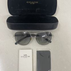 Coach Sunglasses 