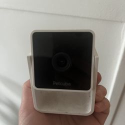 Petcube Camera