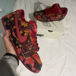 Dunk Low SB Wizard of Oz Size 8.5