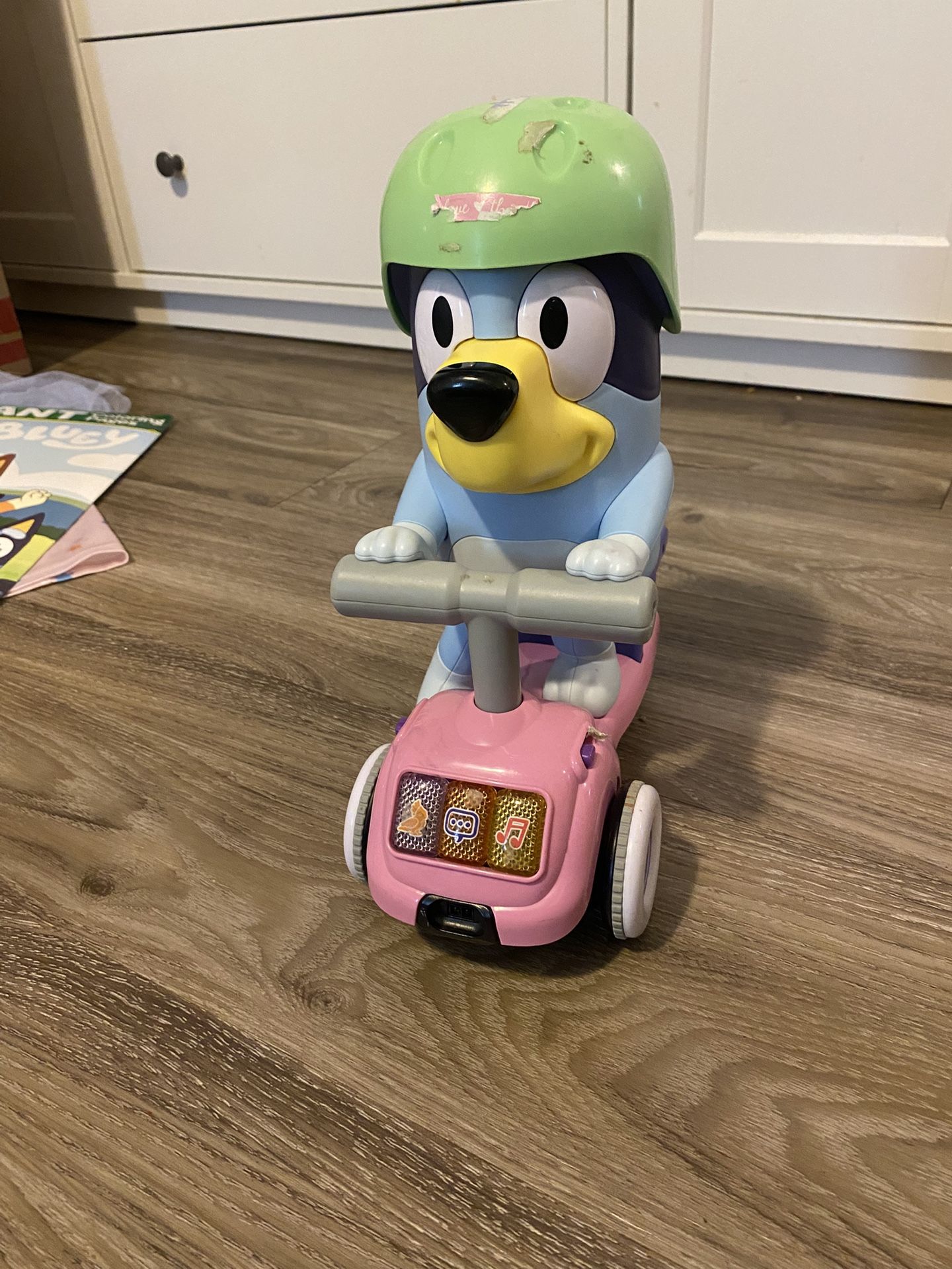 Group Of BLUEY Items 