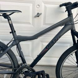 Giant mountain bike