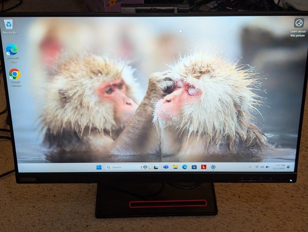 Lenovo ThinkVision 24in Monitor