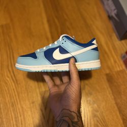 Nike Dunk Low Argon PS Sz 2.5