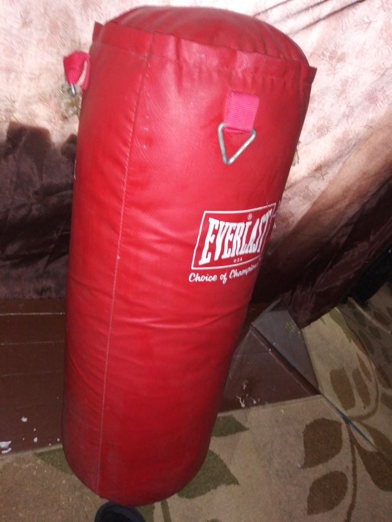 Everlast Punching Bag