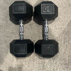 30lbs Dumbbell Pair
