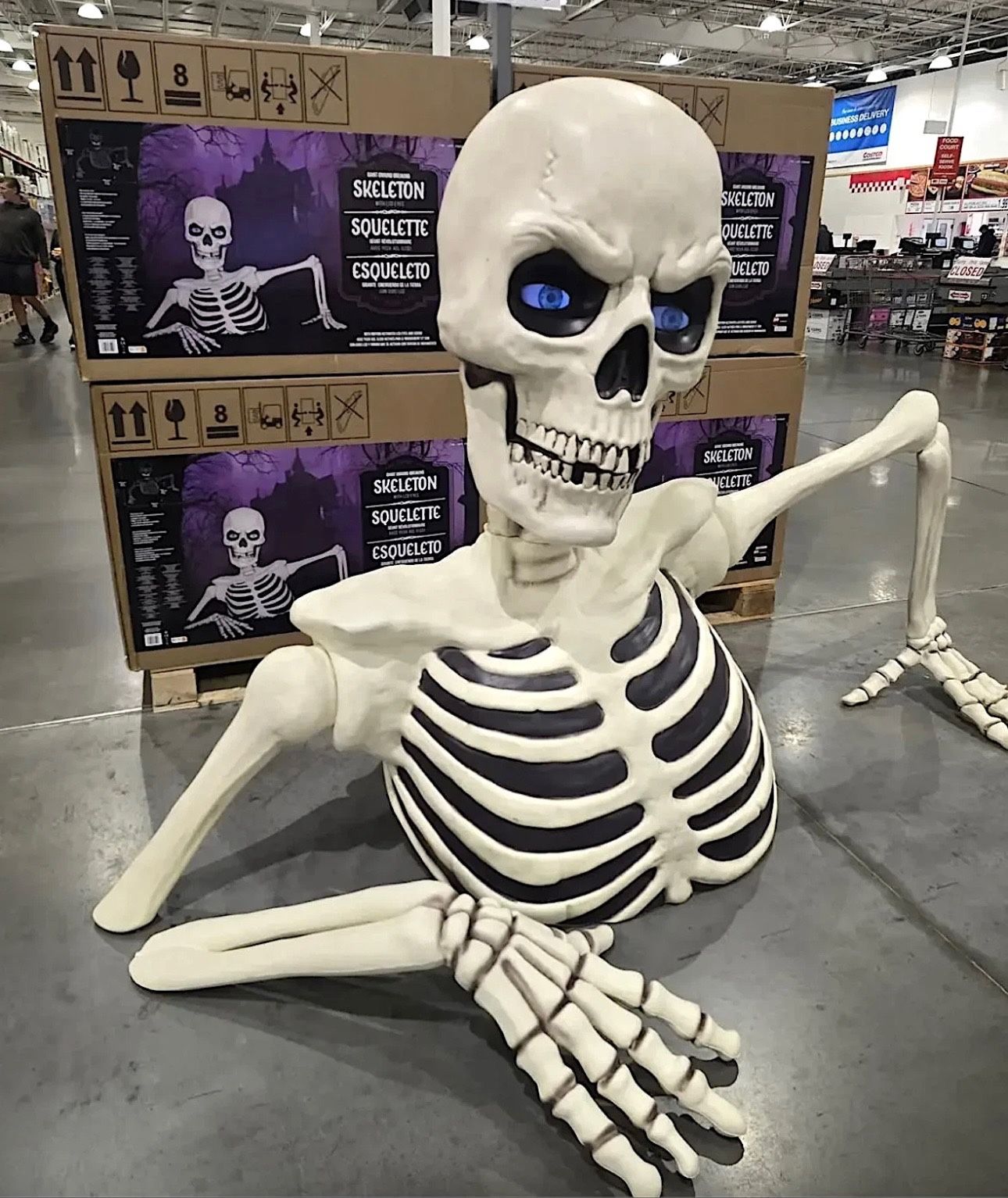GROUND BREAKING SKELETON HALLOWEEN PROP WITH LCD EYES!!!