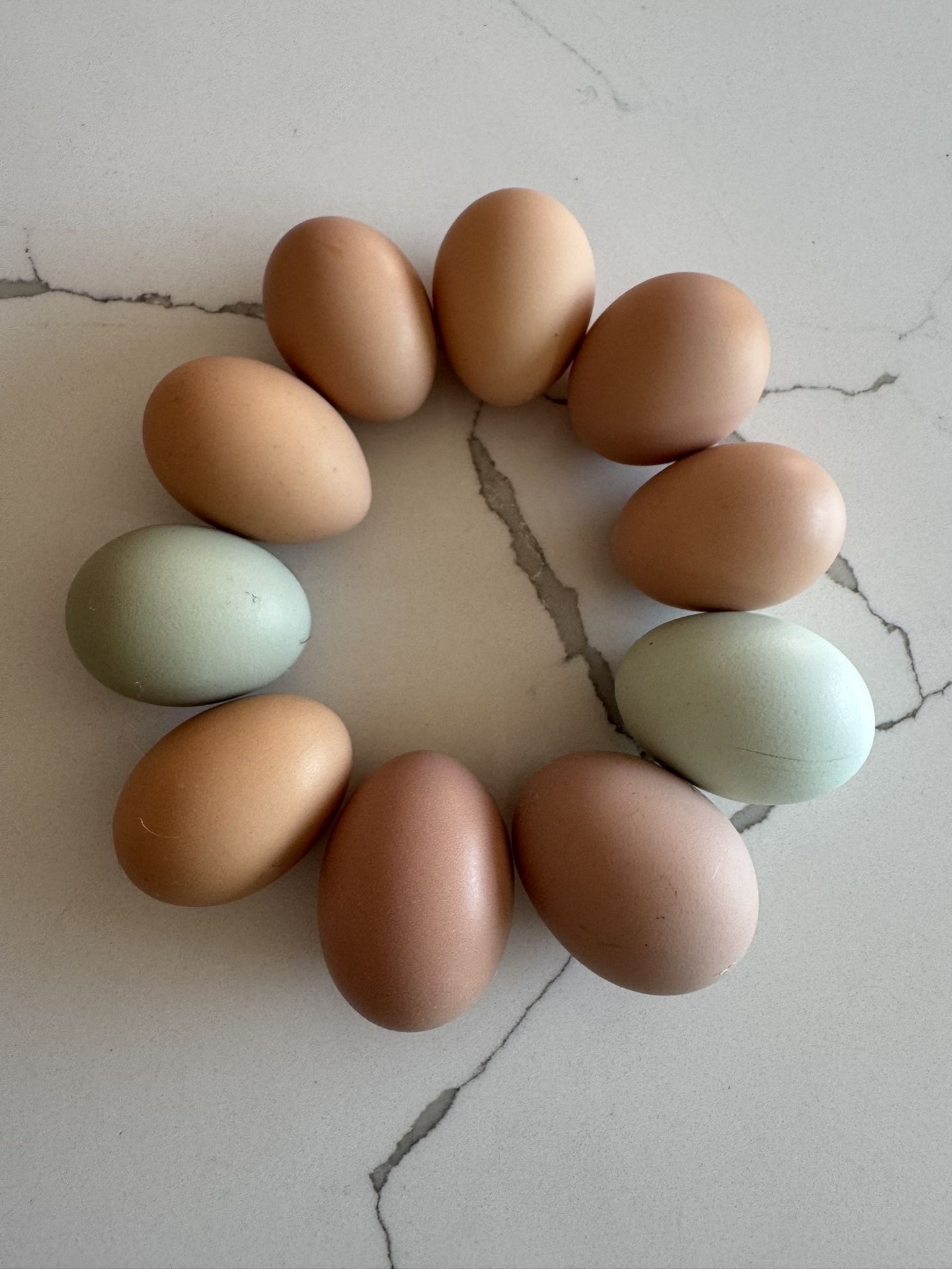 Organic Eggs