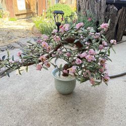 Jade Glass And Porcelain Bonsai Tree 