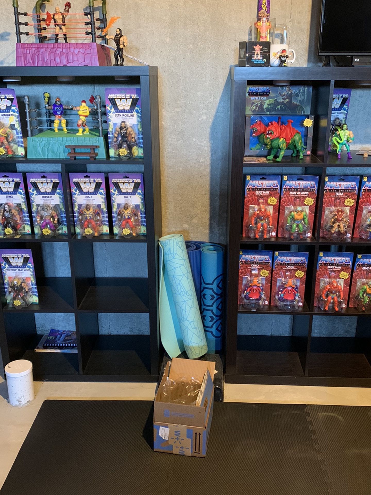 Masters Of The Universe LOT