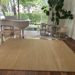 8/10 Brand New Tan Beige Rug 