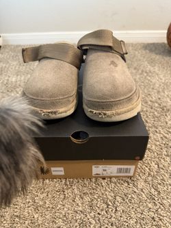 Ugg Mens
