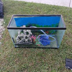 Fish Tank 
