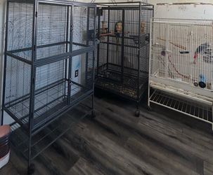 Bird cages