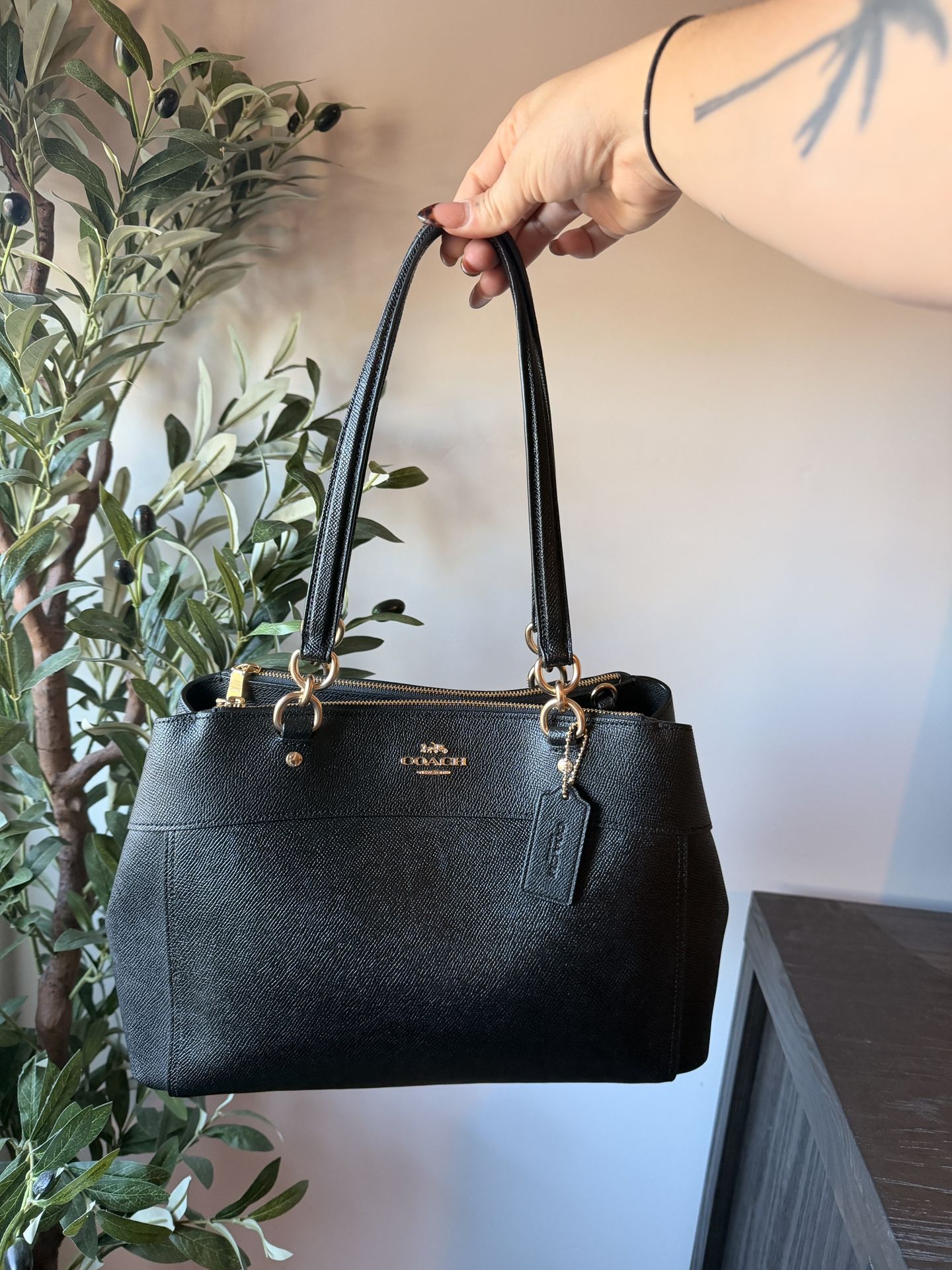 Coach Brooke Carryall Satchel 