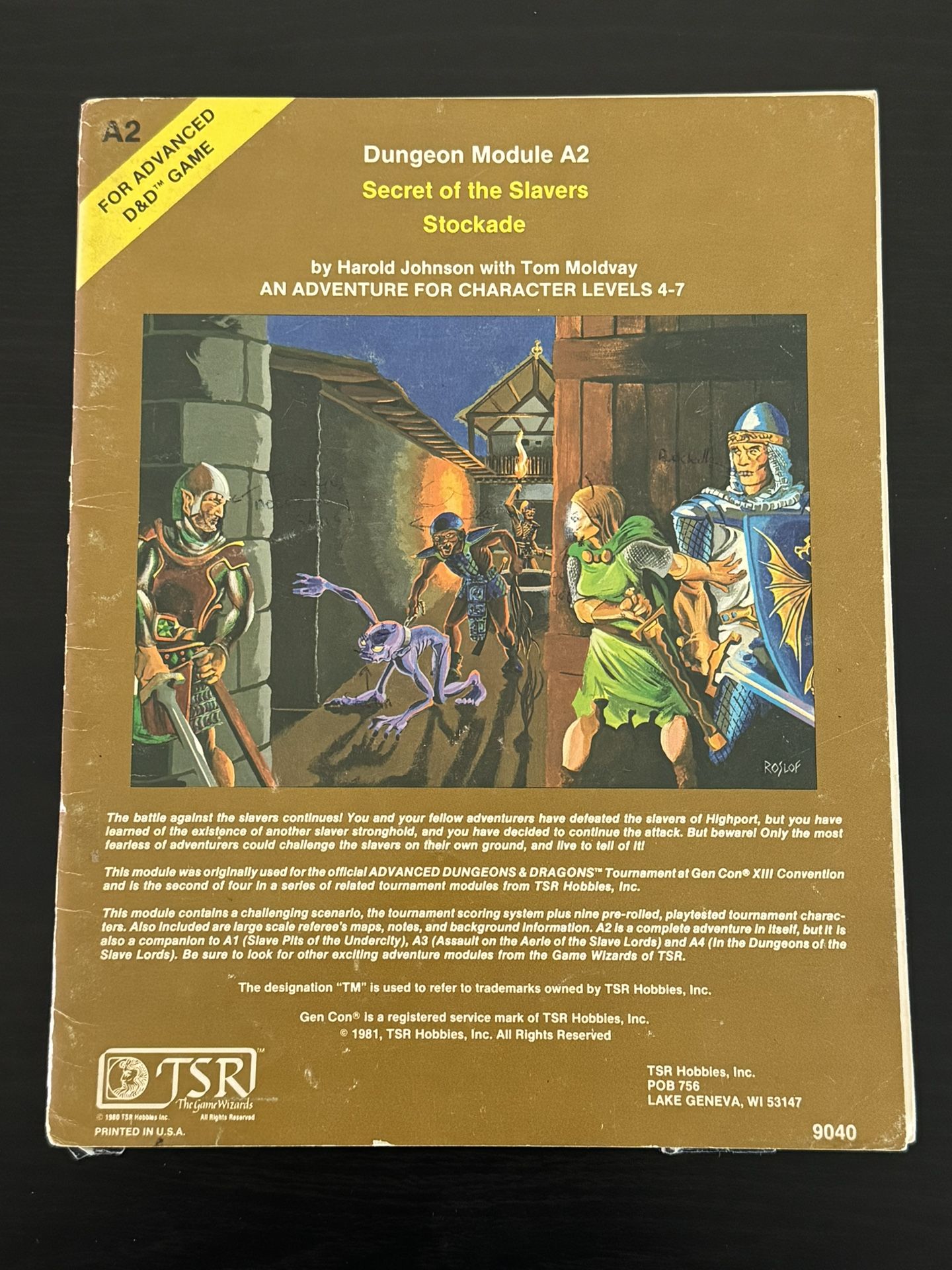 Dungeons & Dragons Module A2 - Secret of the Slavers Stockade 1981 TSR#9040