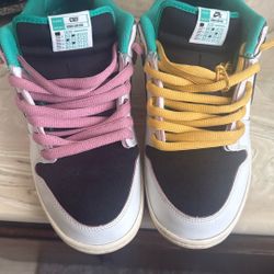 Nike Sb (university Of Skateboarders Teach The World 