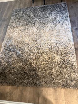 Cream and Grey area rug 63x87 inches