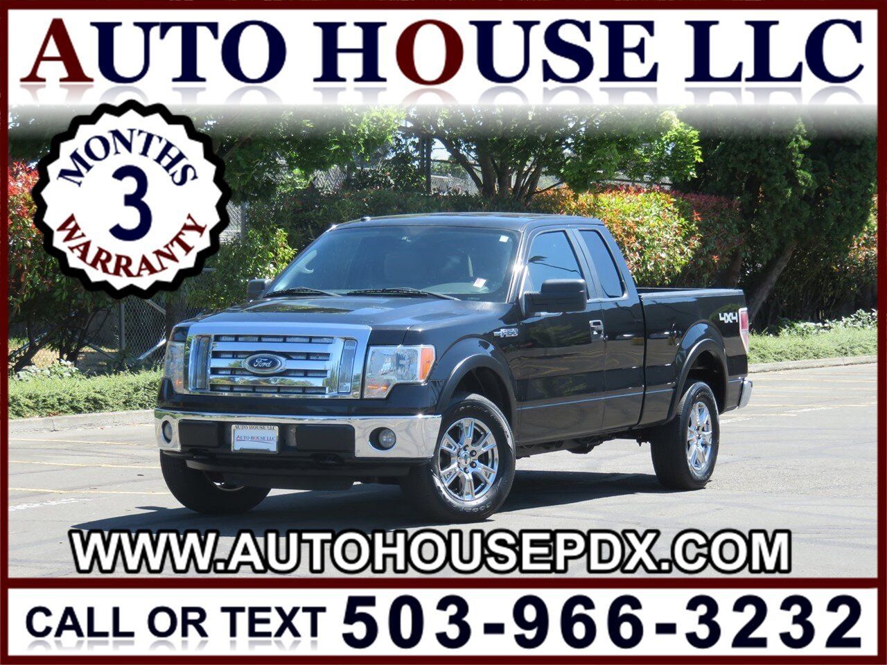 2010 Ford F-150