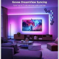 Govee Tv rgb lights