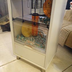 Cool Hampster 2 Floor Cage with Lots Of Accessories, Excellent! $40.