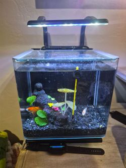 Fish tank 10x10x10